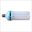 250w CFL Bulb