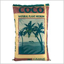 Canna Coco