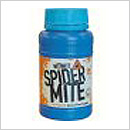 Nite Nite Spider Mite